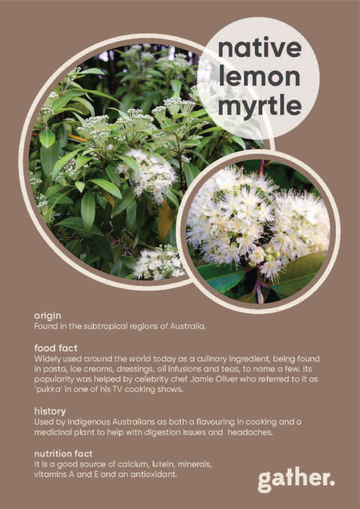 The Magic and Allure of Native Ingredients